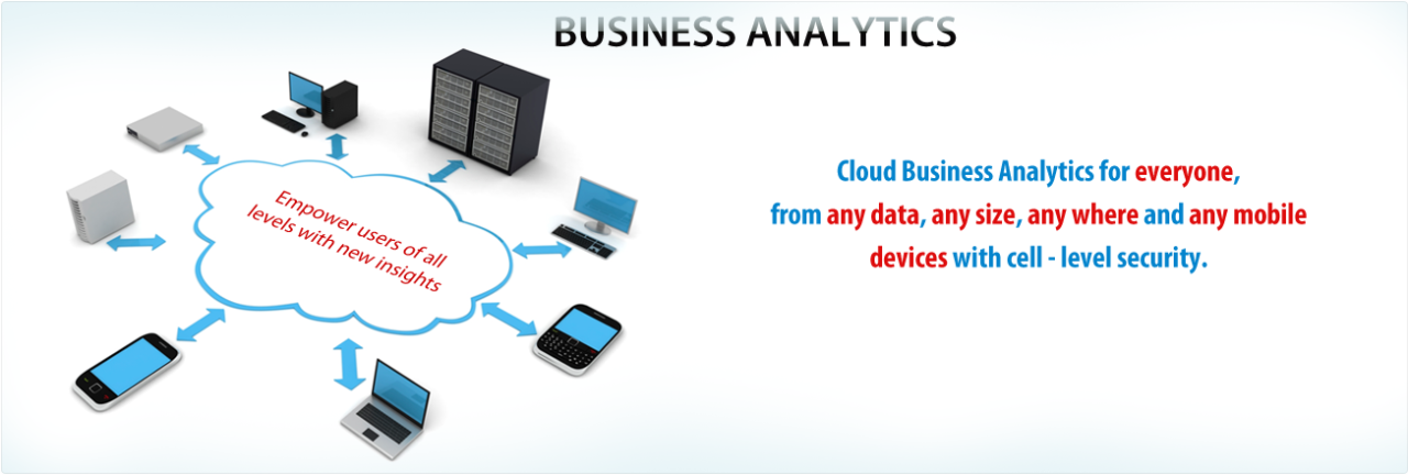 Business Analytics - Dss Solutions