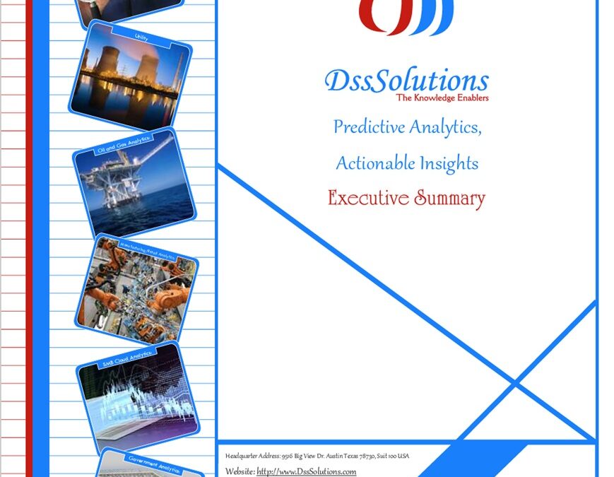 Dss Solutions Executive Summary