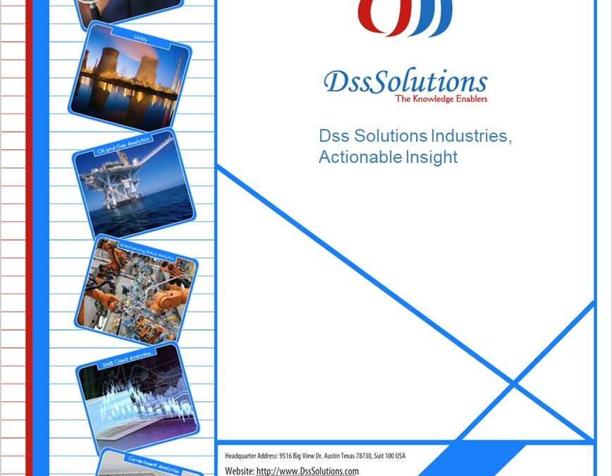 Dss Solutions Industry Briefing