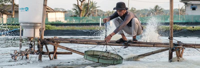 It’s fantastic to be in Indonesia meeting with innovators like Andri, Elsa, and the team at eFishery, who are applying next-generation AI to make aquaculture more productive — and sustainable.