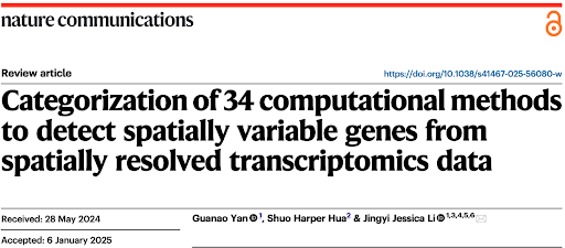 Unraveling Spatially Variable Genes: A Statistical Perspective on Spatial Transcriptomics