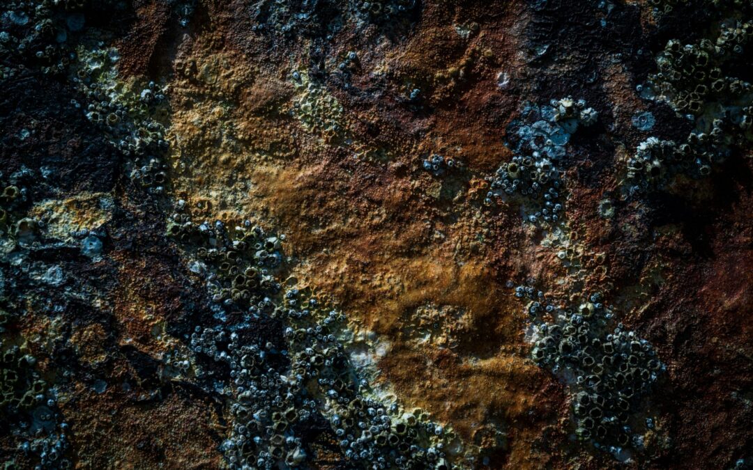 Rust for Python Developers: Why You Should Take a Look at the Rust Programming Language