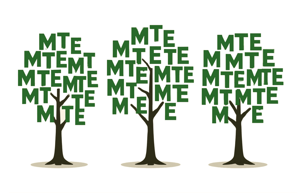 Decision Trees Natively Handle Categorical Data