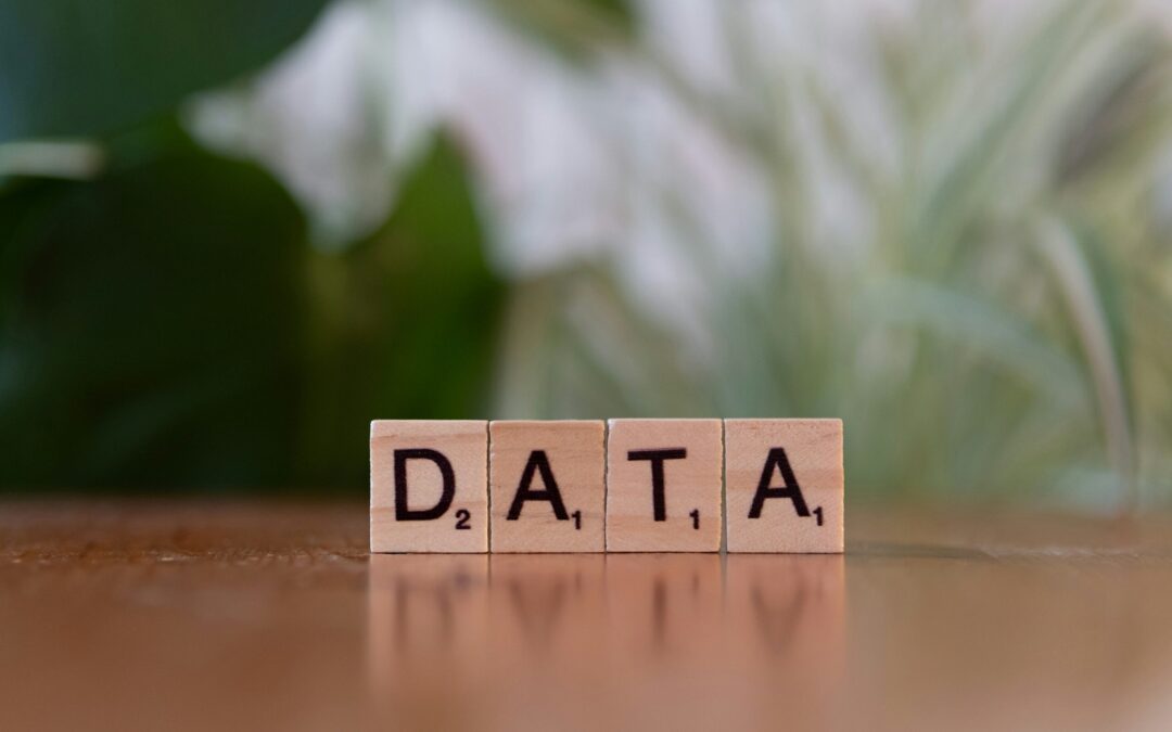 Data Has No Moat!